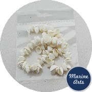 8074-P8 - Drilled - Mini Cockle Shell Garland